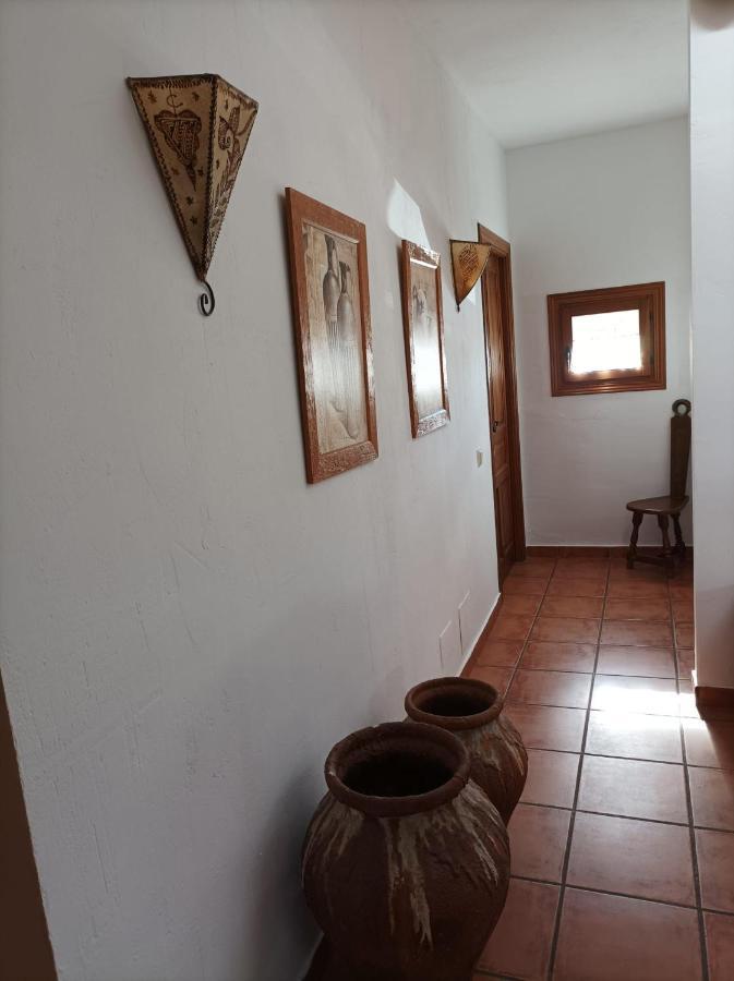 La Casa de los Gatos Condemios de Abajo Exterior foto